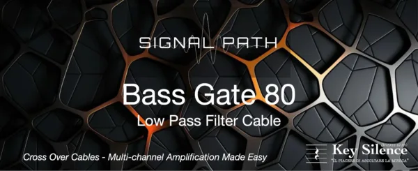 SIGNAL PATH - BASS GATE 80 - immagine 2
