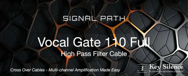 SIGNAL PATH - VOCAL GATE 110 - immagine 2